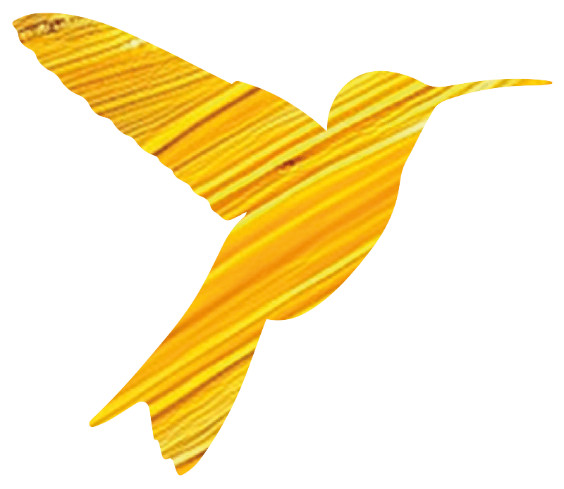 Kolibri Logo gelb