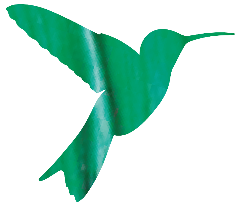 Kolibri Logo grün