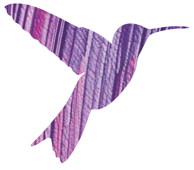 Kolibri Logo lila