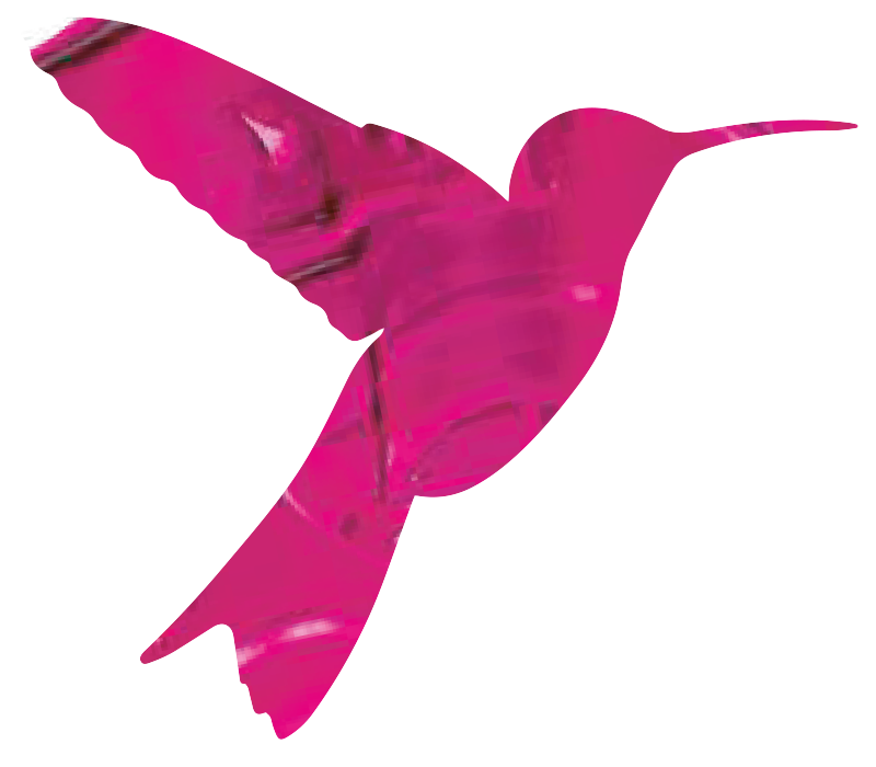 Kolibri Logo pink
