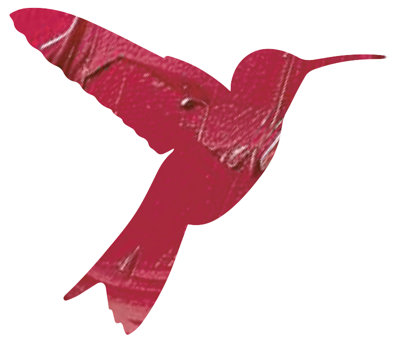 Kolibri Logo rot