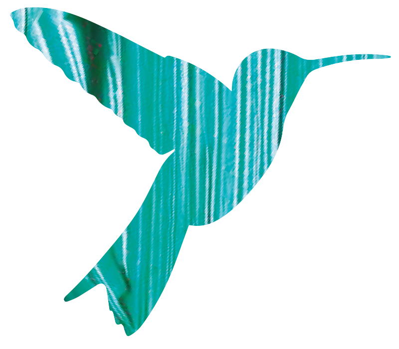 Kolibri Logo türkis
