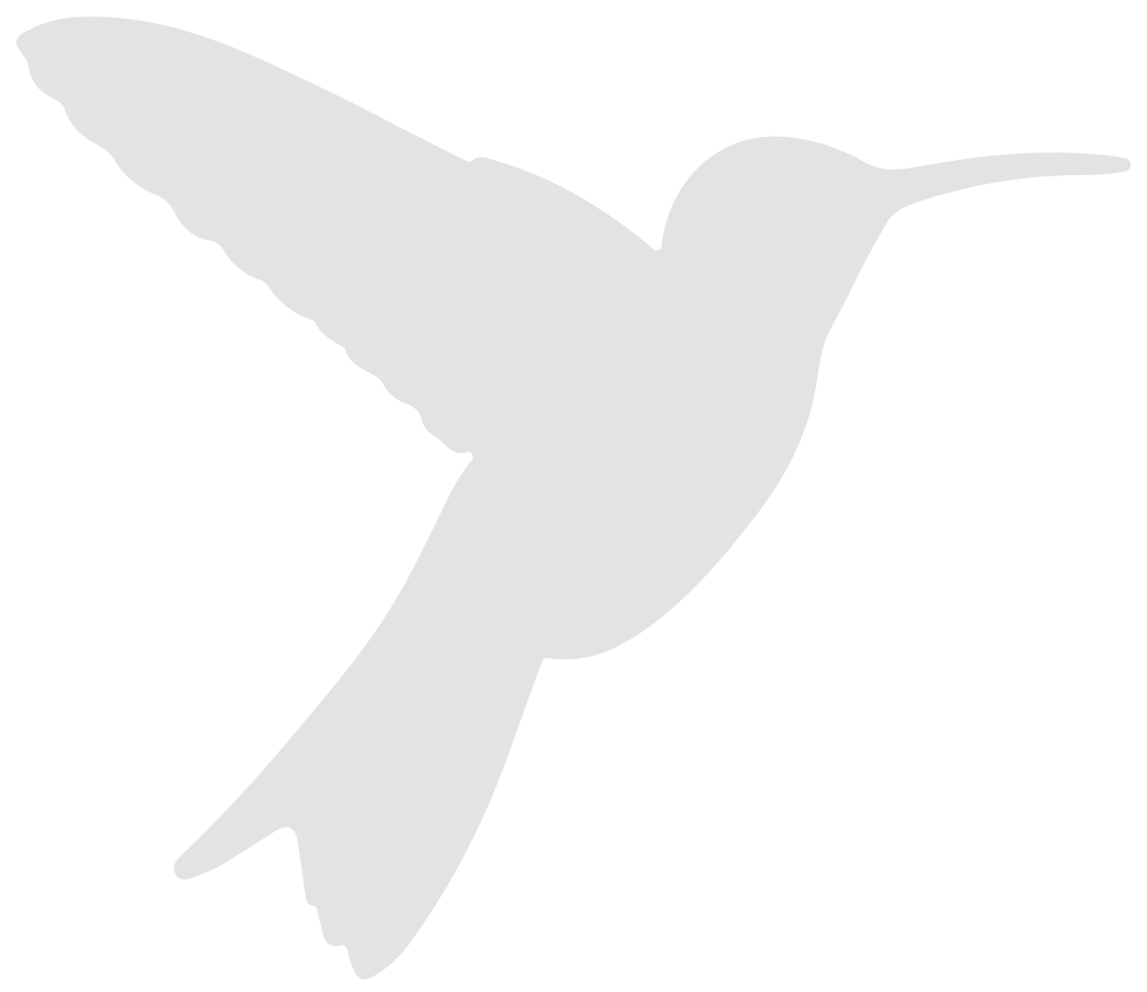 kolibri_grau3